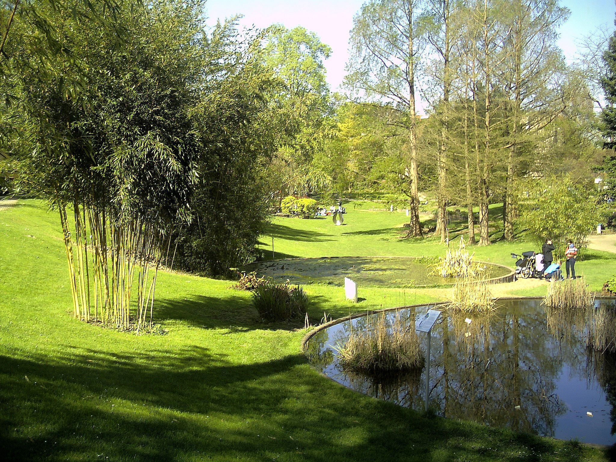 April - Spring Botanischer Garten Freiburg - 2016