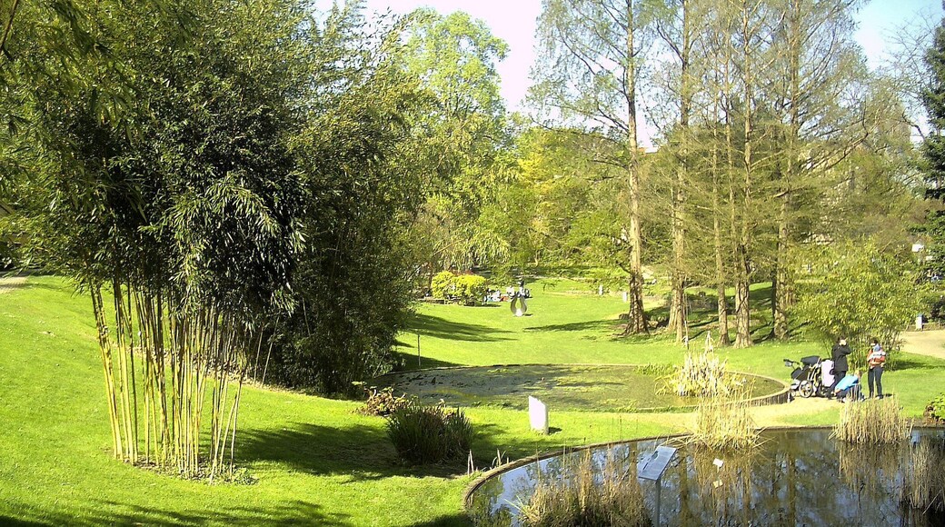 April - Spring Botanischer Garten Freiburg - 2016