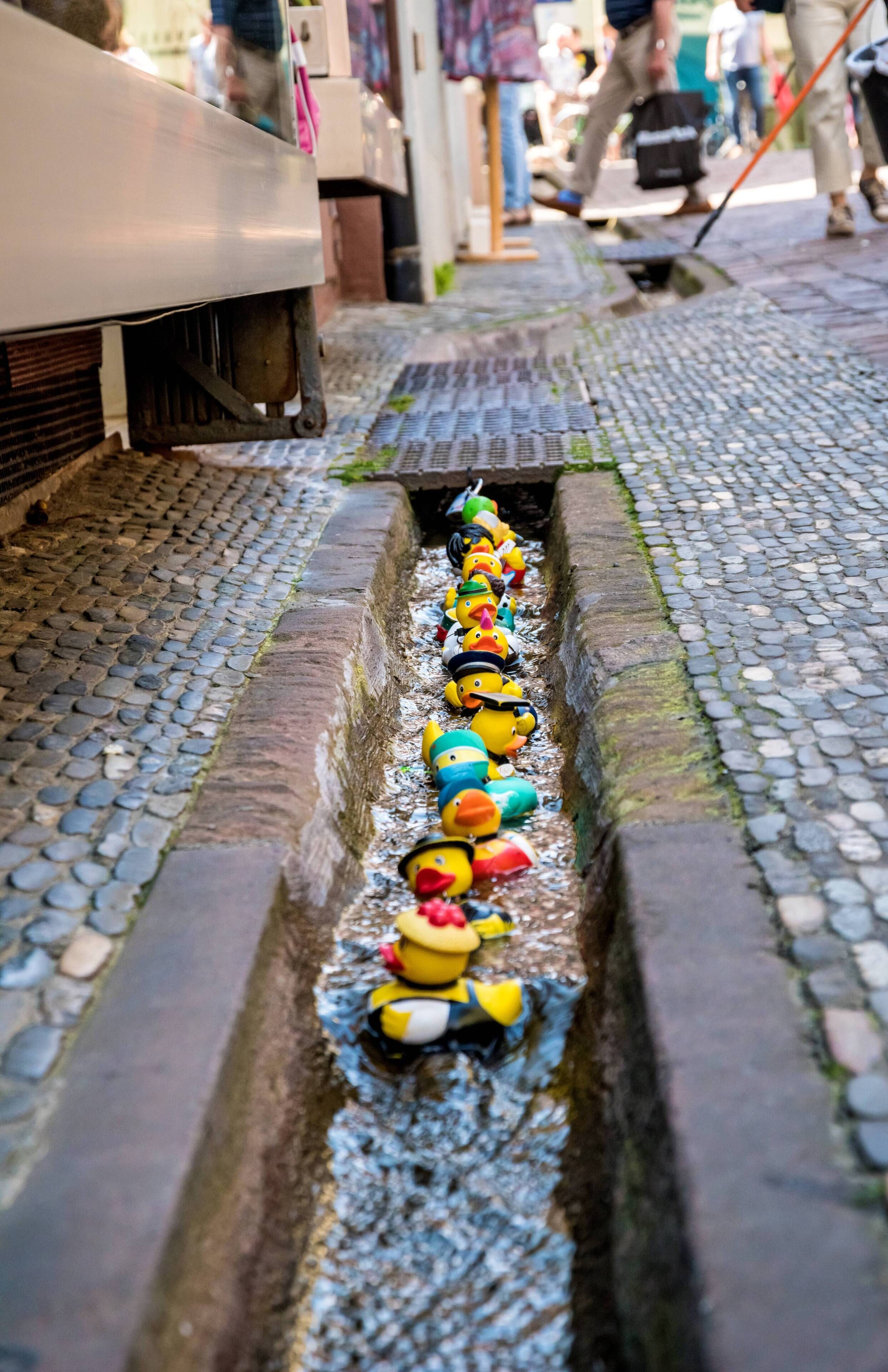 Bilder aus Freiburg im Breisgau Freiburger Bächle