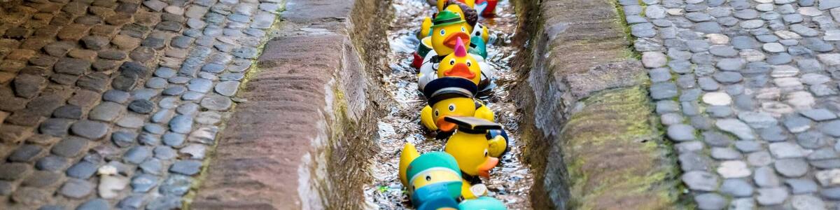 Bilder aus Freiburg im Breisgau Freiburger Bächle