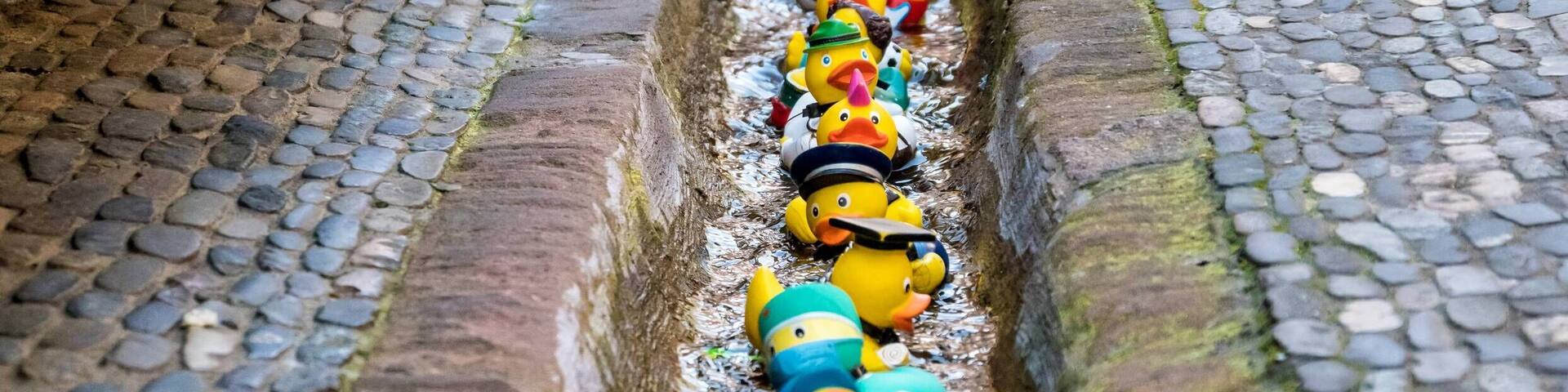 Bilder aus Freiburg im Breisgau Freiburger Bächle