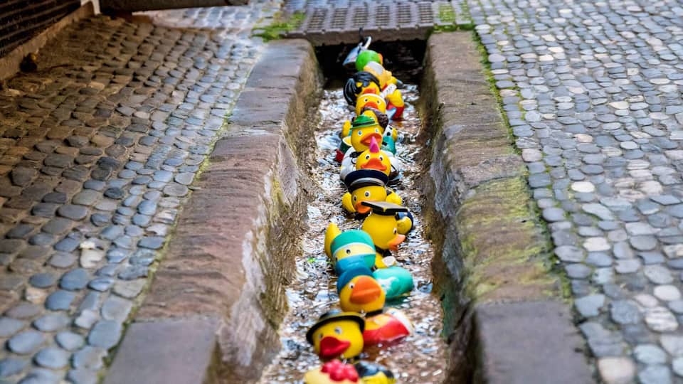 A narrow alley with a row of colorful duck toys lined up along a water channel.