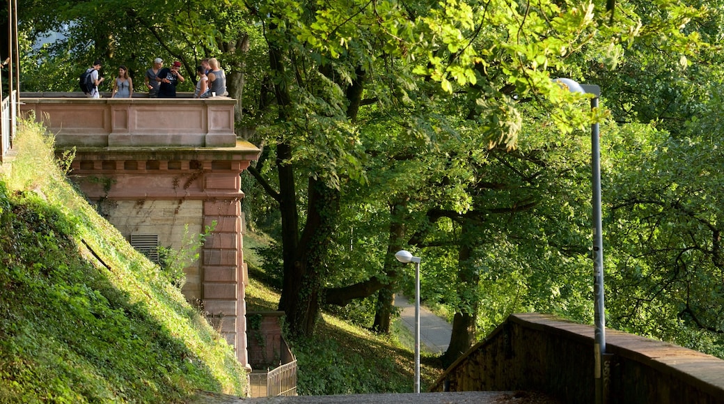 Freiburg which includes views and a park