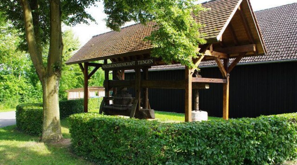 Die alte Weinpresse in Tiengen