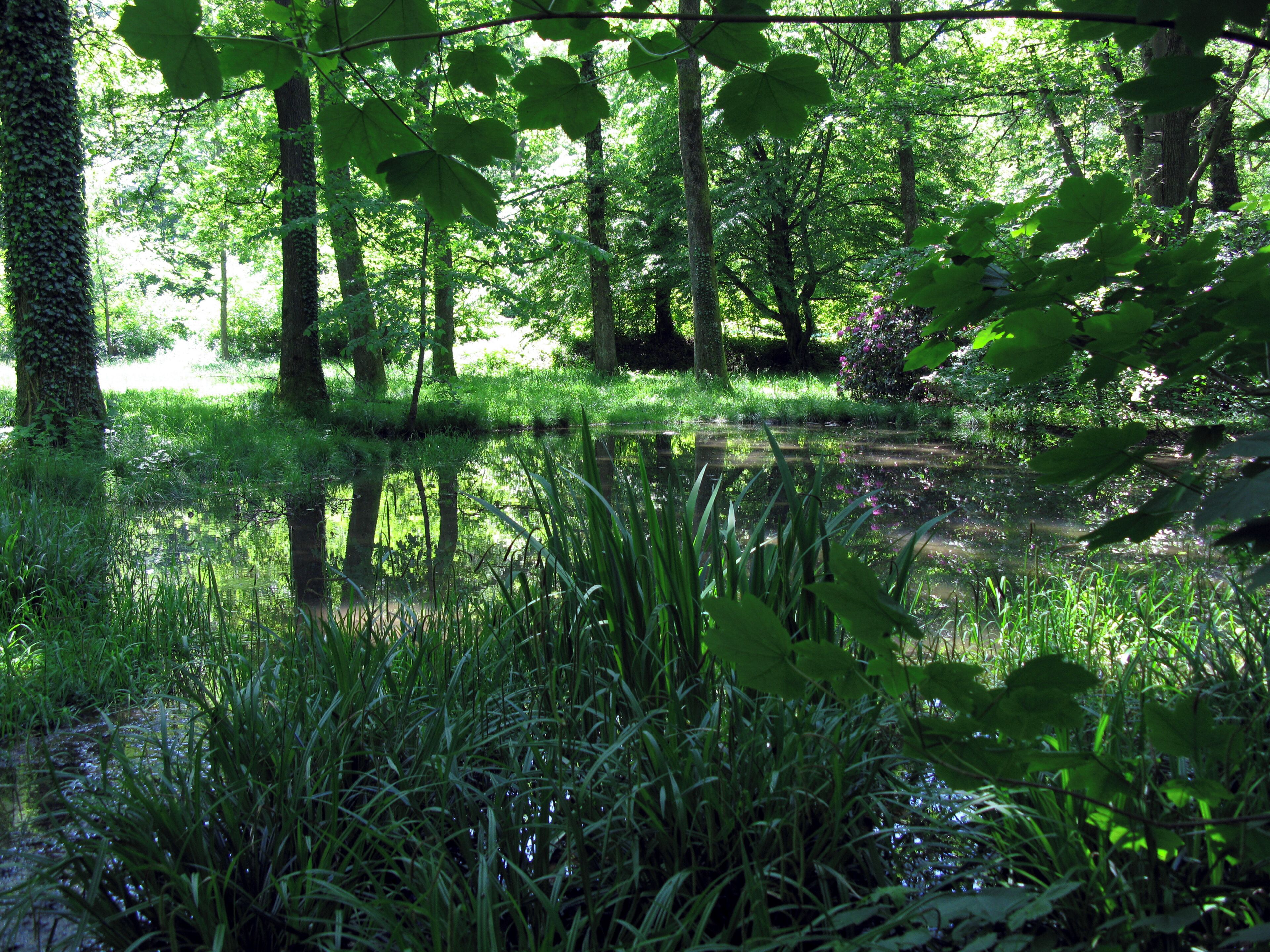 Von seinem Wasserreichtum hat der Freiburger Möslepark seinen Namen.