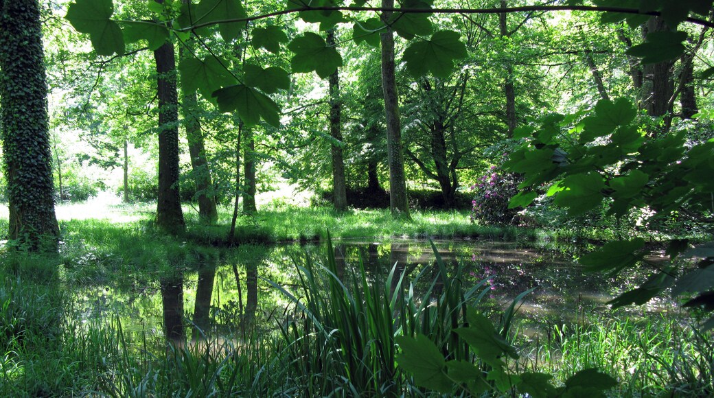 Von seinem Wasserreichtum hat der Freiburger Möslepark seinen Namen.