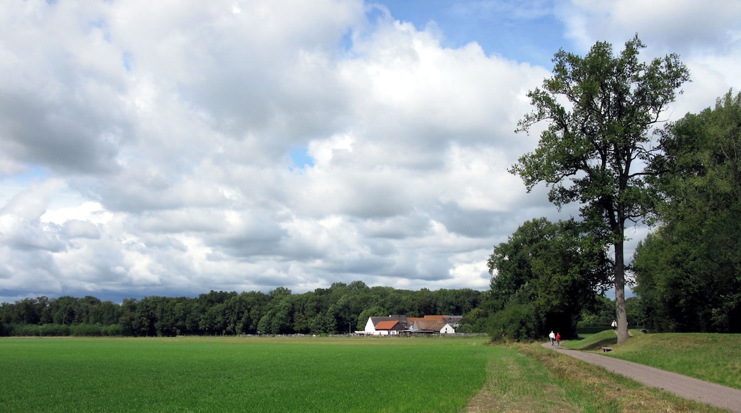 Schlatthöfe in Freiburg-Tiengen