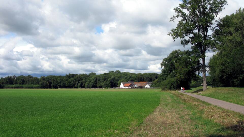 A green field, a path, a large tree, and a building in the distance.