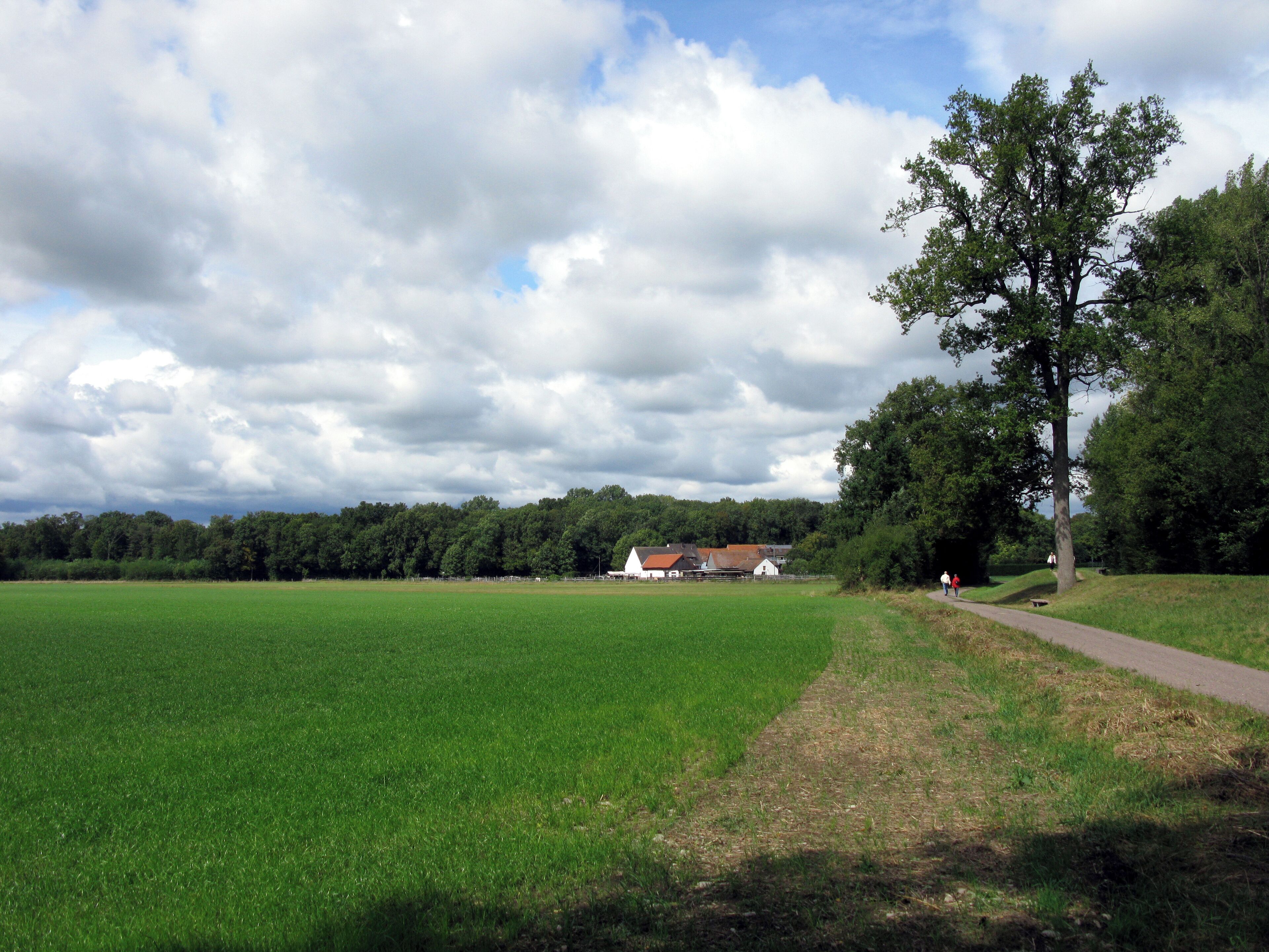 A green field, a path, a large tree, and a building in the distance.