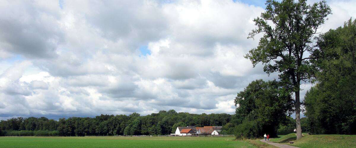 A green field, a path, a large tree, and a building in the distance.