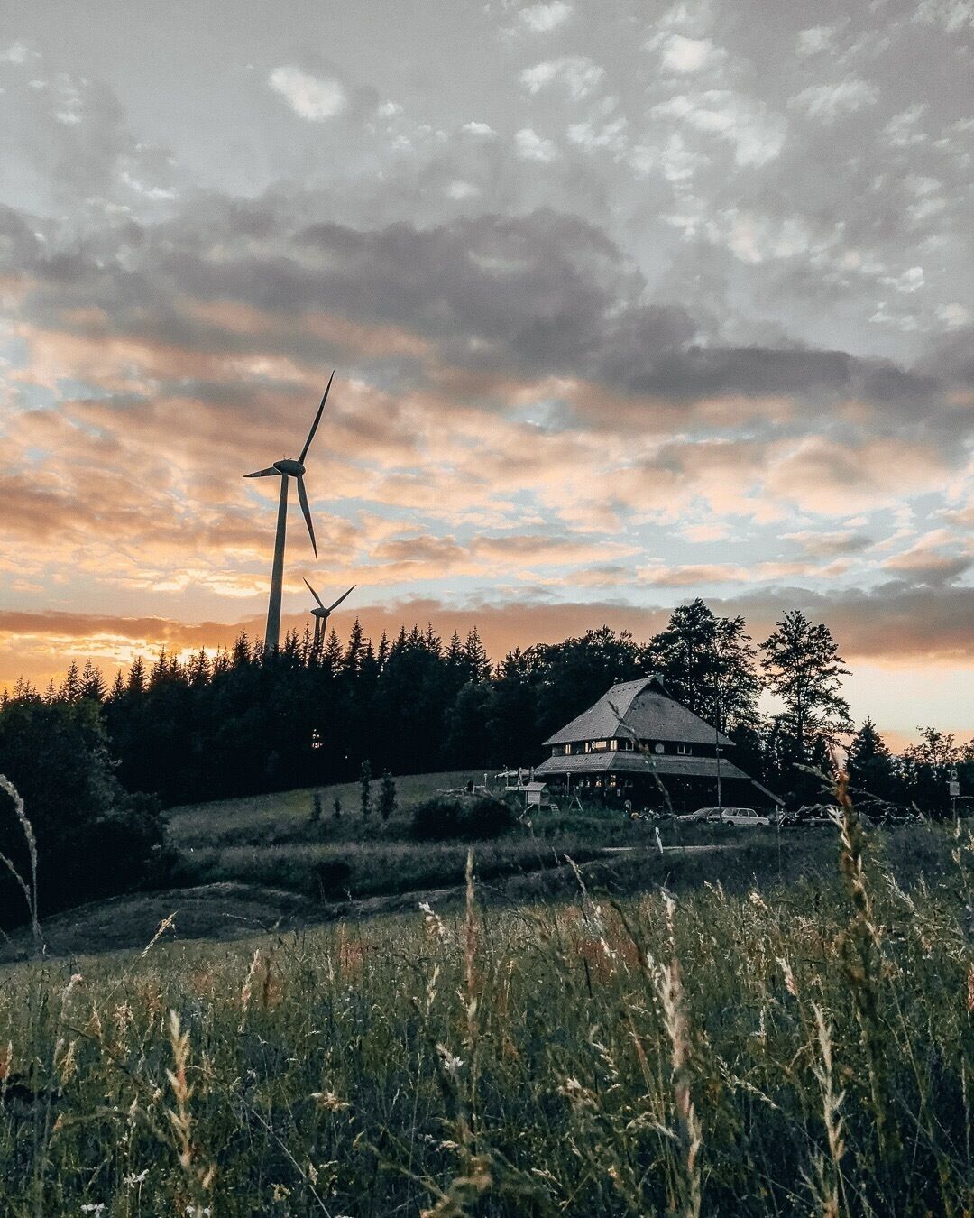 On the road from Freiburg up to Schauinsland.