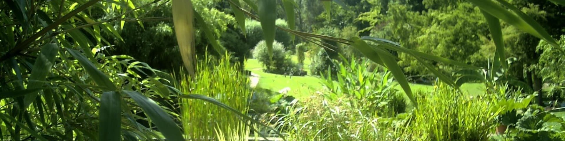 May Spring Botanischer Garten Freiburg - Botany Photography