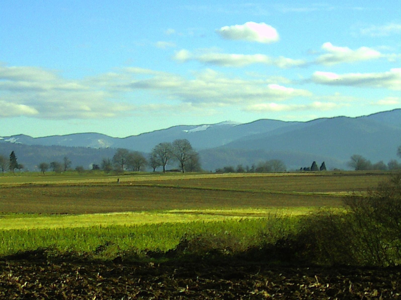 December Sonnwende Magic Druid Light - Master Mythos Black Forest Photography 2013 Elsässer Belchen Declination 19,3 Grad - Feldberg Masif (1500 mtr) Germany arrived Stonehange declination - control orbit of our Lord