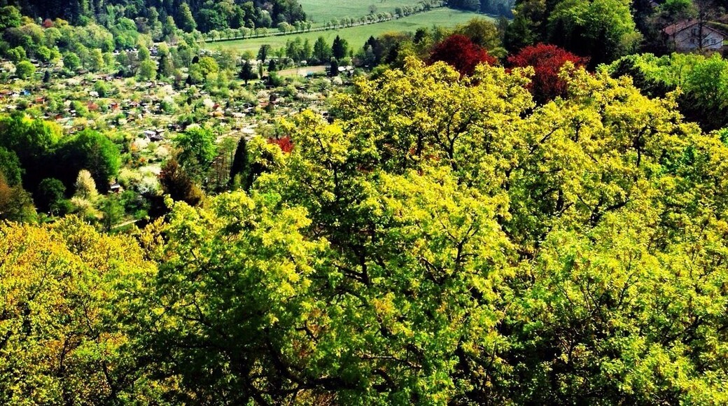 From the top of Freiburg's Lorettoburg, looking south at the Black Forest! I love #hiking in the Schwarzwald!