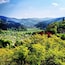 Sørlige Schwarzwald naturpark