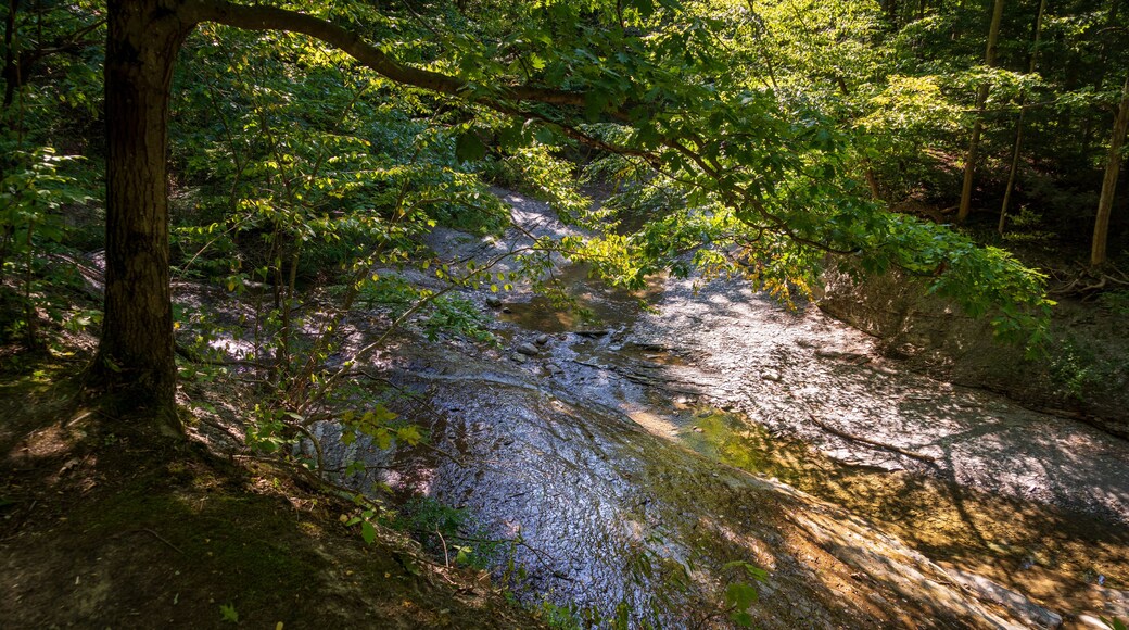 Wintergreen Gorge, Harborcreek Township, Erie County in the U.S. state of Pennsylvania