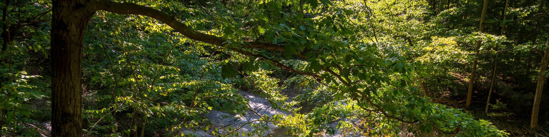 Wintergreen Gorge, Harborcreek Township, Erie County in the U.S. state of Pennsylvania