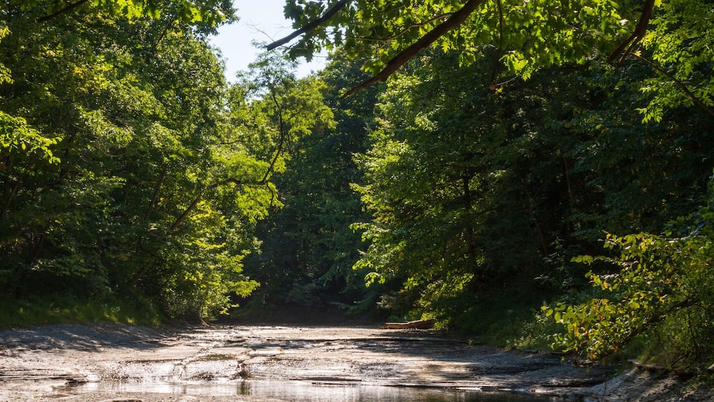 Wintergreen Gorge, Harborcreek Township, Erie County in the U.S. state of Pennsylvania