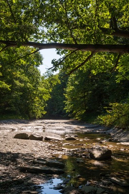 Wintergreen Gorge, Harborcreek Township, Erie County in the U.S. state of Pennsylvania