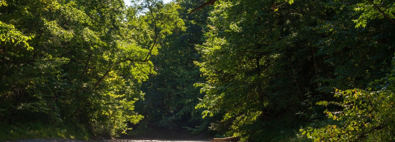 Wintergreen Gorge, Harborcreek Township, Erie County in the U.S. state of Pennsylvania