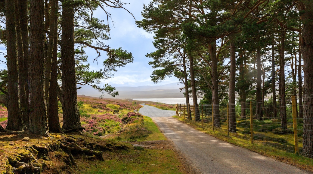 Scottish landscapes in Scotland