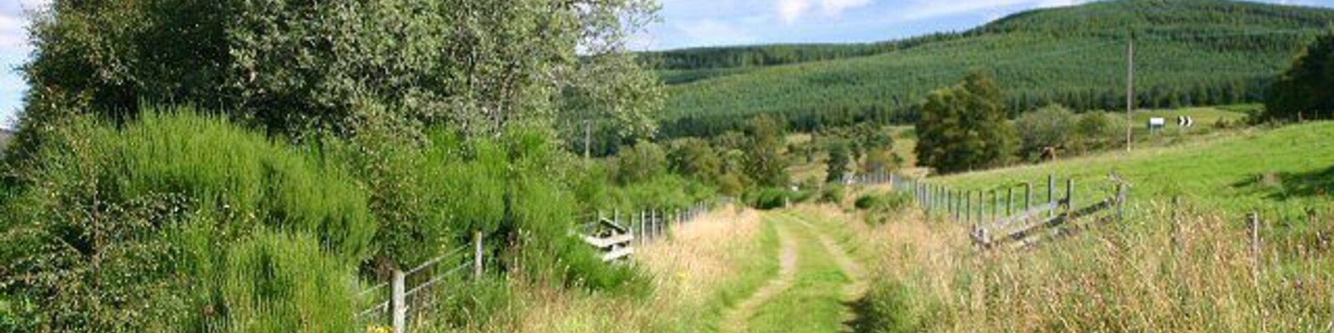 Speyside Way near Cromdale Much of the Speyside Way follows the route of the former Strathspey Railway, closed to passengers in 1965 and to freight traffic in 1971.