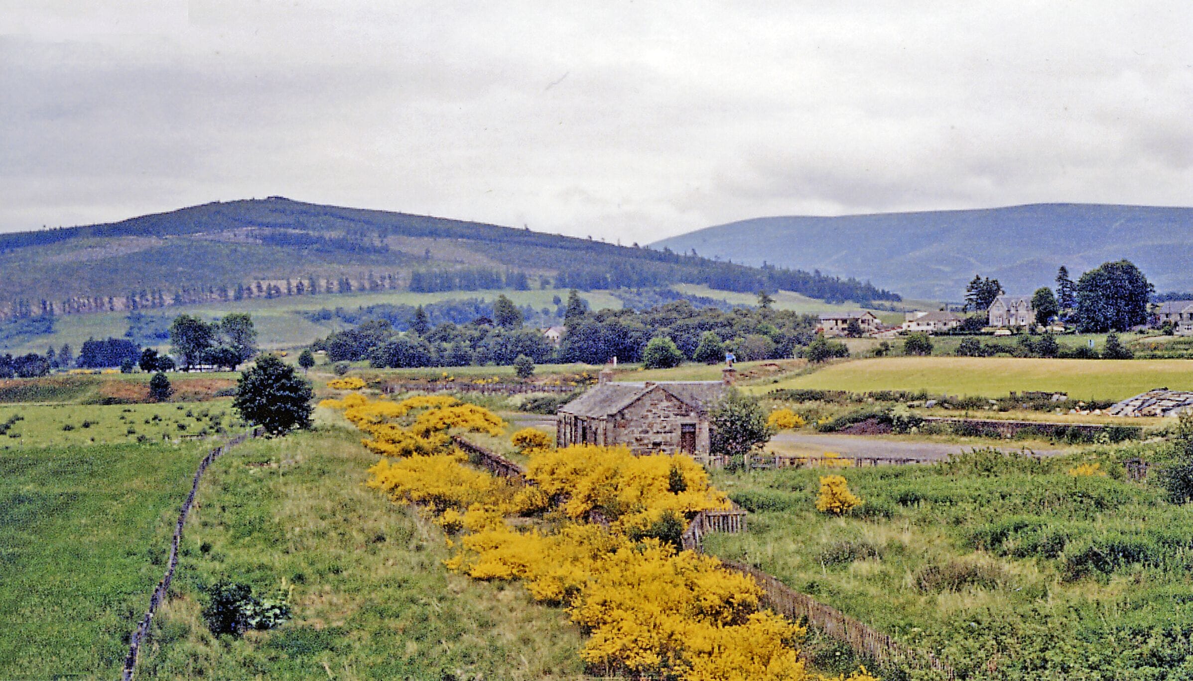 Paisaje rural con colinas onduladas, un edificio de piedra y árboles con flores amarillas.
