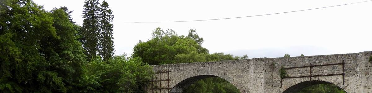 The Old Spey Bridge was built after the 1745 rebellion by General Wade's successor, Major William Caulfield, as part of the military road that ran from Coupar Angus to Fort George. The inscription on the bridge says, "AD 1754. 5 companies of the 33rd Regiment Colonel Charles Hay. Ended"
Wild Lupins (L. perennis) grown in profusion all along the banks of the Spey in June. The Spey is known to be a fast-running river and is especially famous as one of Scotland's best salmon rivers.
#InStone
#River