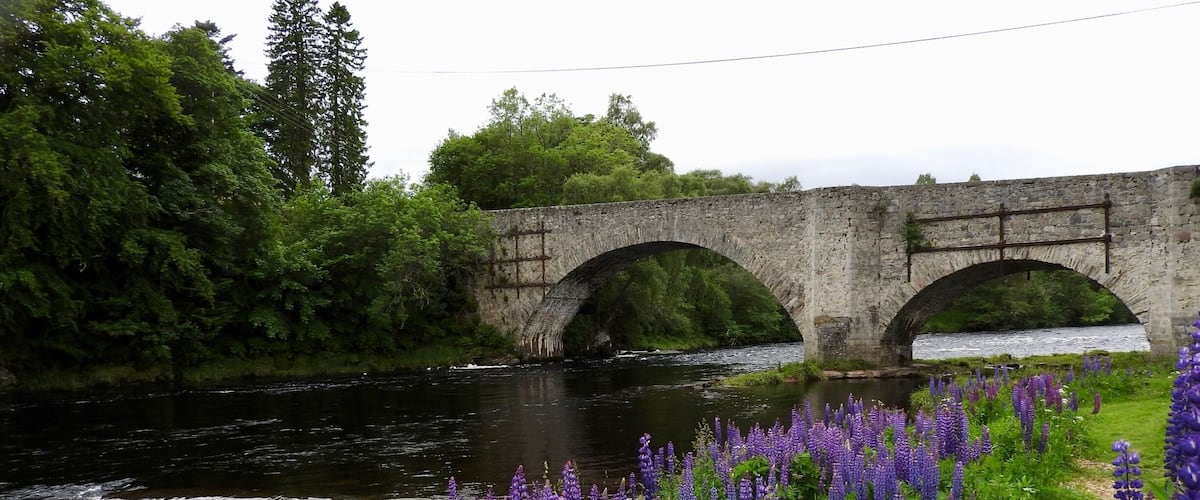 The Old Spey Bridge was built after the 1745 rebellion by General Wade's successor, Major William Caulfield, as part of the military road that ran from Coupar Angus to Fort George. The inscription on the bridge says, "AD 1754. 5 companies of the 33rd Regiment Colonel Charles Hay. Ended"
Wild Lupins (L. perennis) grown in profusion all along the banks of the Spey in June. The Spey is known to be a fast-running river and is especially famous as one of Scotland's best salmon rivers.
#InStone
#River
