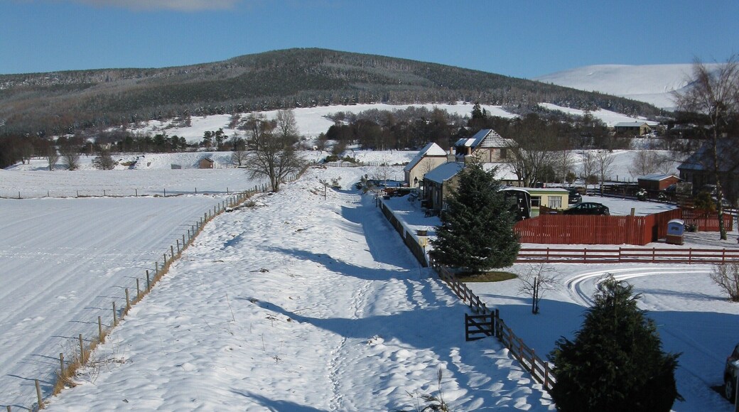 Cromdale Station Looking towards the former Cromdale Railway Station. This part of the trackbed now forms part of the Speyside Way long distance footpath.
