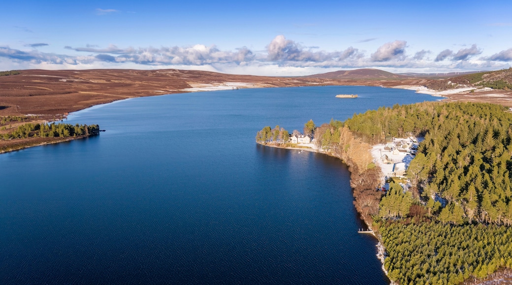 UK, Scotland, Grantown-on-Spey, Aerial view of Lochindorb lake