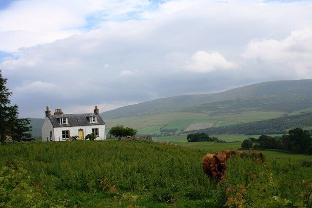 A white house with a yellow door, a cow grazing in the foreground, and rolling hills in the background.