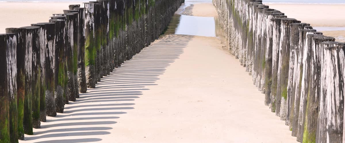 En träpromenad som leder till en strand med ett lugnt hav i bakgrunden.