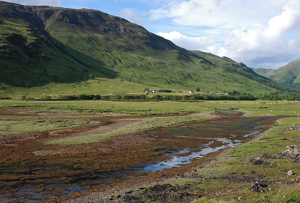 Salt marshes by Carn-gorm Where Loch Duich meets Strath Croe.