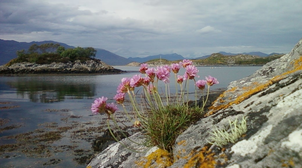 from the rocks come these beautiful colours
