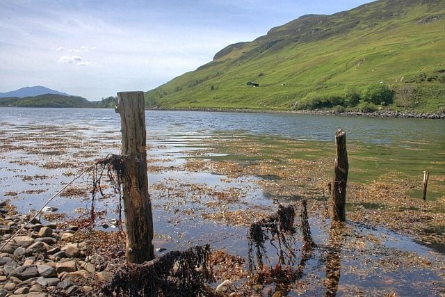 Old Fence Posts, Loch Long A view 'downstream'.