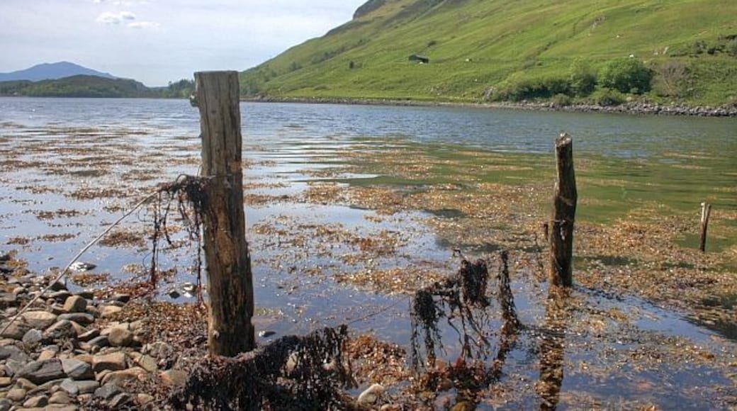 Old Fence Posts, Loch Long A view 'downstream'.