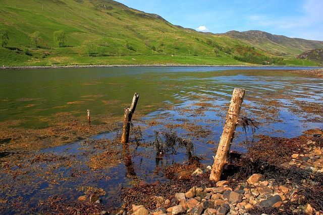 Old Fence Posts, Loch Long