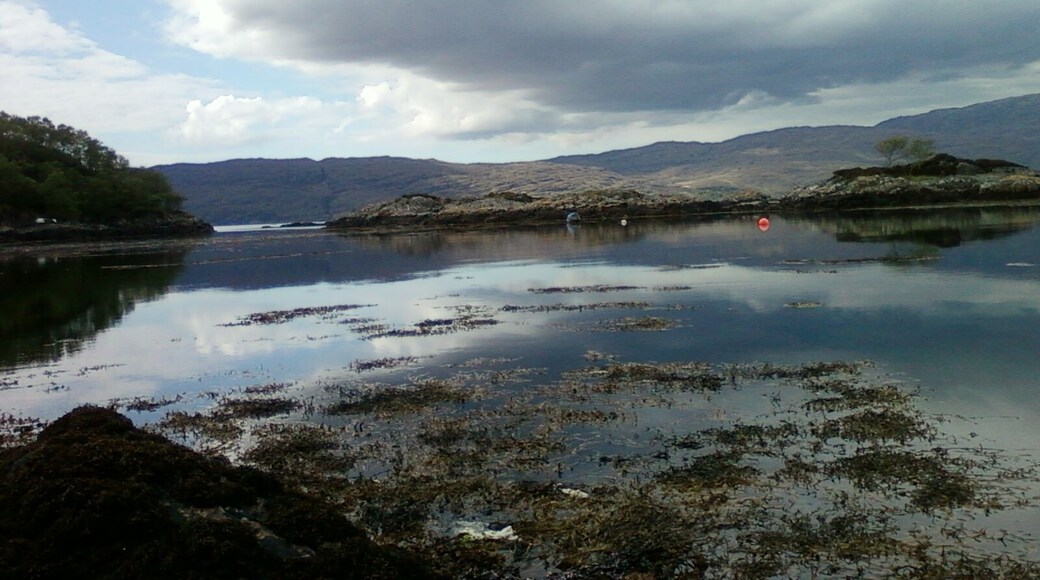 The buoys mark the position of the creels below trapping seafood