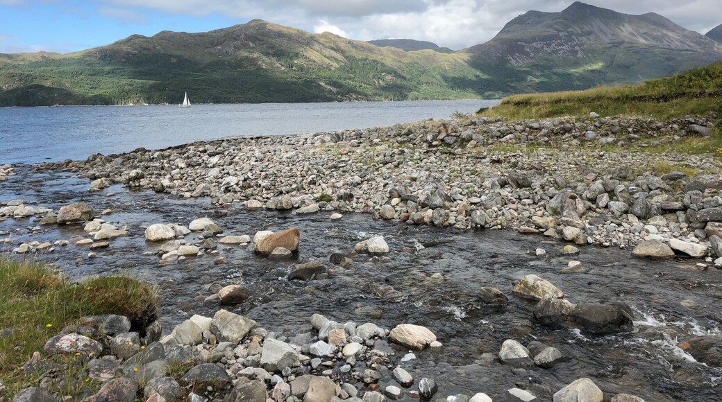 The sunlight transforms that landscape.