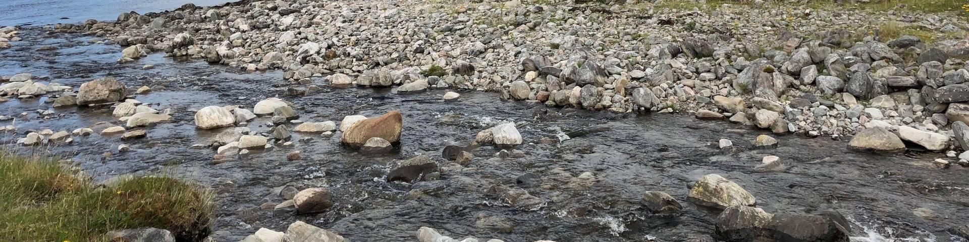 The sunlight transforms that landscape.