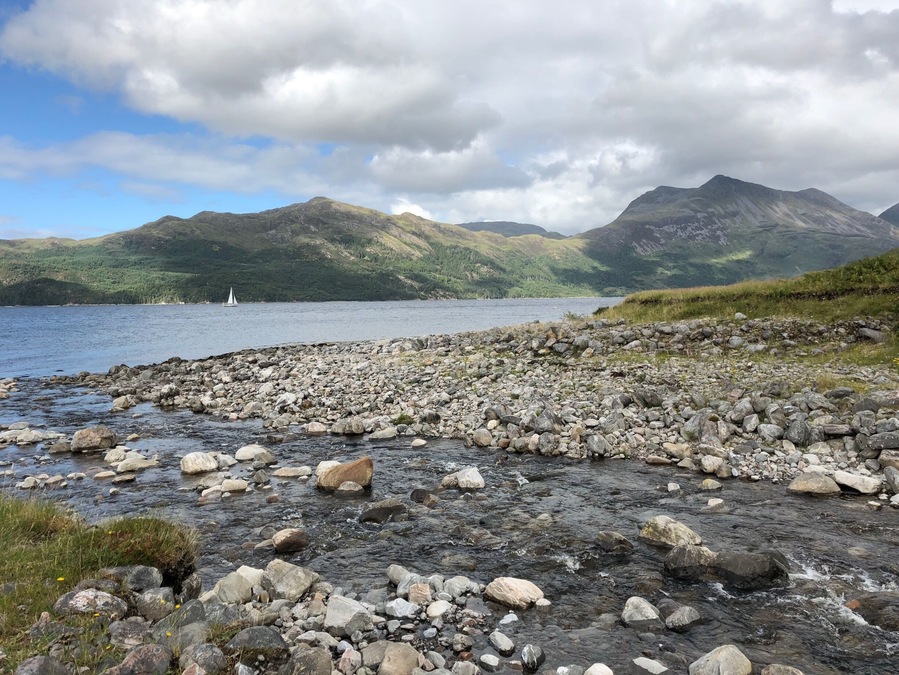 The sunlight transforms that landscape.