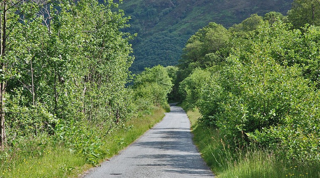 The road to Camas-luinie. A lot better than the last time I drove it.