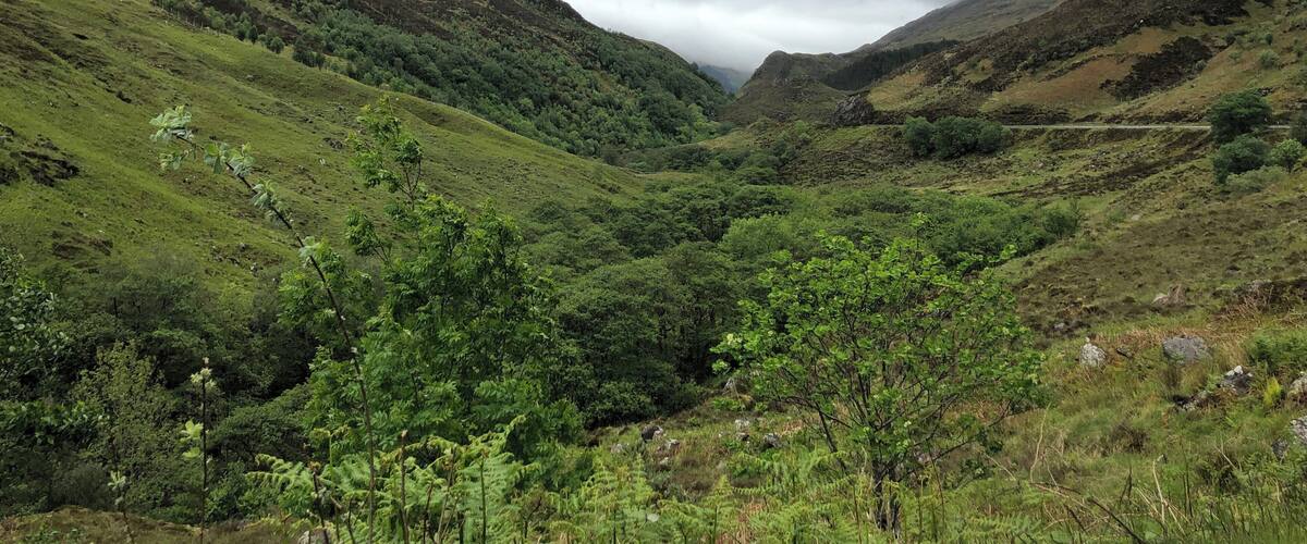 Beautiful pass on the way to Kintail