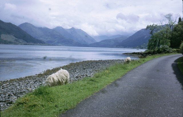 Loch Duich from Letterfearn The Five Sisters of Kintail can be seen over the loch.