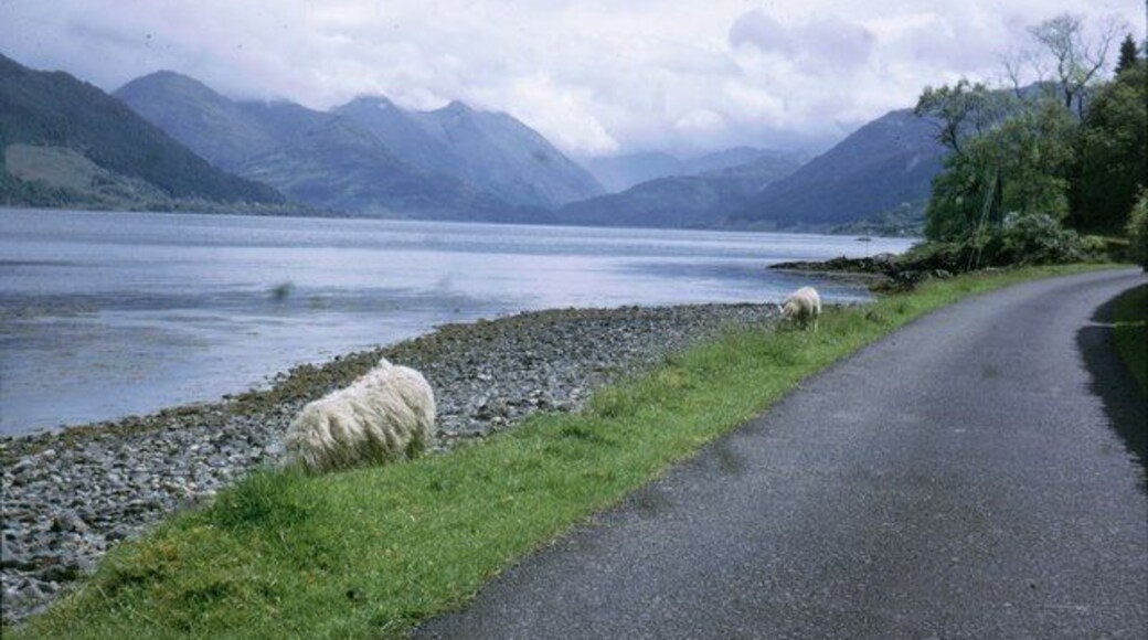 Loch Duich from Letterfearn The Five Sisters of Kintail can be seen over the loch.