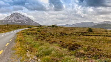View over the Errigal Mountain and the Landscape