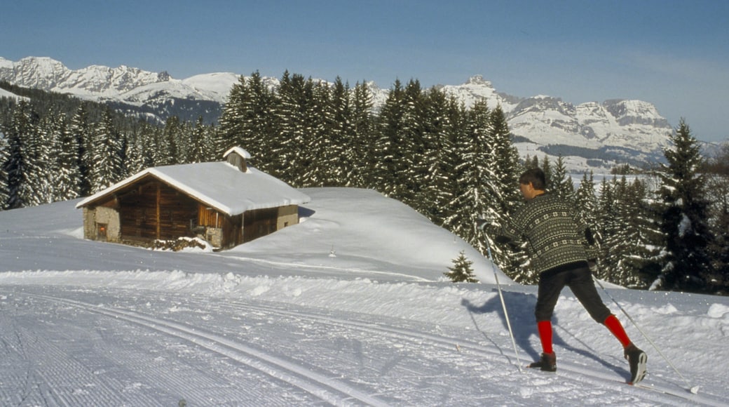 Megeve som viser fjell, skoglandskap og landskap