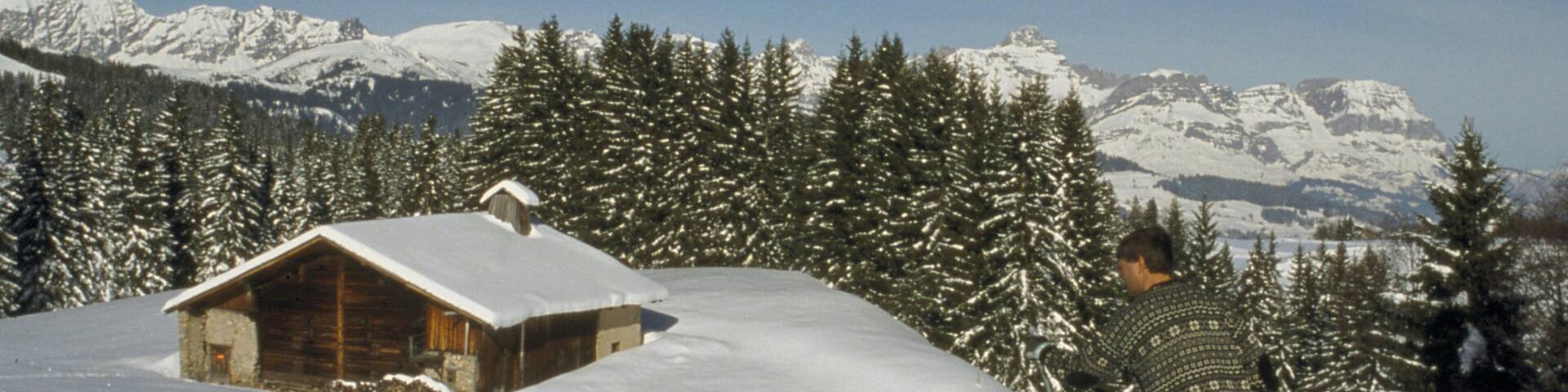 Megeve showing a small town or village, forests and mountains