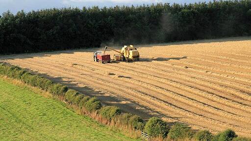 Harvesting at Lilliesleaf The farmer is taking advantage of a dry day to harvest this field at Round Knowe. The weather for the past few weeks has been very wet.